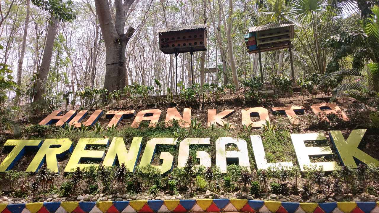 Menengok Ragam Satwa di Hutan Kota Trenggalek, dari Merak Hijau hingga Rusa